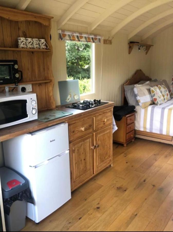 Charming Tranquil Shepherds Hut With Lakeside Balcony 'Roach' Акфілд Екстер'єр фото
